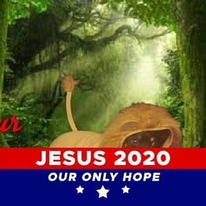 Meet your Posher, Will